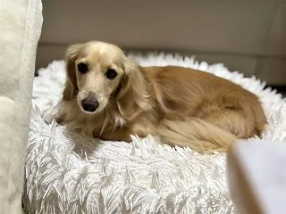 また、の最終日