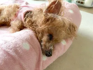ここに収まりました^^ ＆ パワーバイオ
