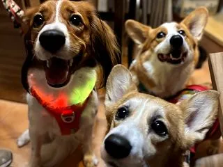 友だちと3ショット