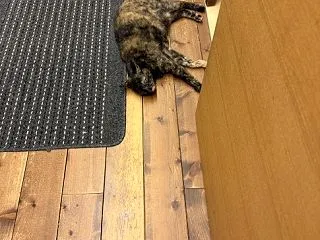 ちょっと・・・・