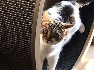 最後の瞬間まで