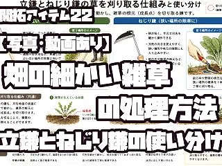 畑の細かい雑草の処理方法｜立鎌とねじり鎌…