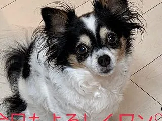 ほんの少しのコミュニケーションがほしい…
