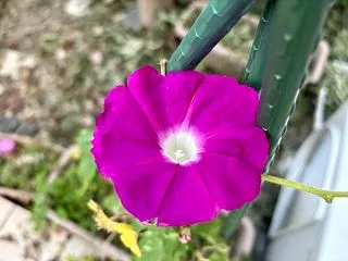 やっと、夏が終わりました