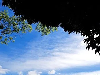 望みを叶えたい、望む状態を引き寄せる