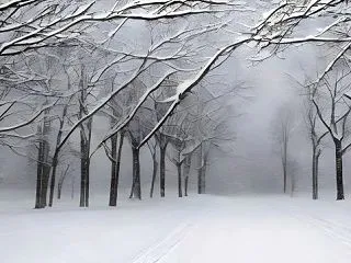 体力不足は否めません、釣りと雪かきで体力…