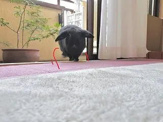 当たり！