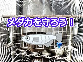 メタルラックにワイヤーネットを取り付けて…