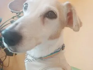 リアの状況