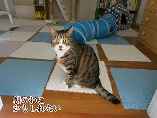 投稿できるようになったらしい