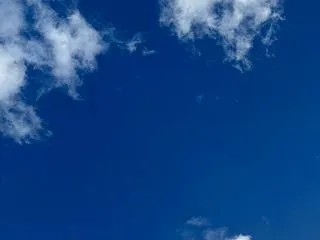 世界の混乱を、悠々と生き抜く