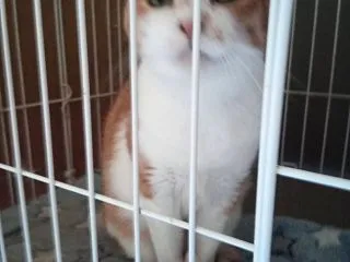 １０月２８日 もういくつ寝ると…