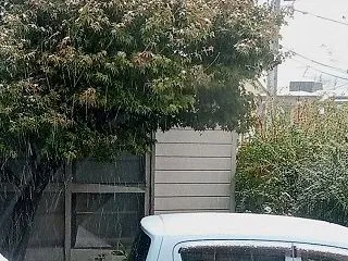 寒波襲来、道内各地で初雪 2026/10…
