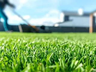 伸びすぎた芝生が茶色になる原因は？解決策…