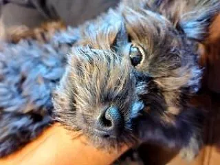 抱っこ