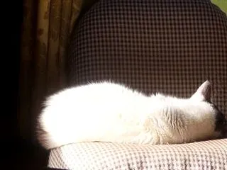 栄養のバランスって難しい↓