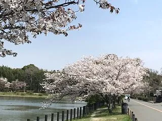 2027年問題、の件