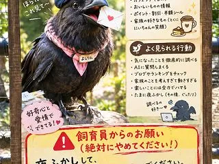 今日のお遊び『動物園の展示パネル』