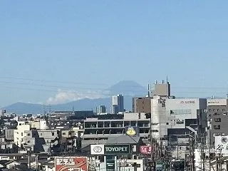 今秋、ラディッシュ第１弾の収穫が始まりま…