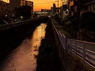 夕暮れ時はさびしそう