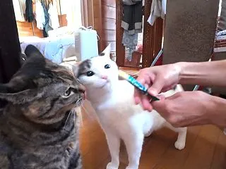 人生は予想もしないことだらけ