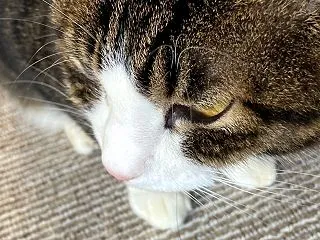 食欲の秋