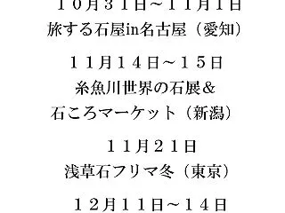 年内の出展予定