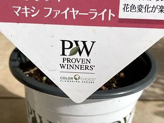 バーゲンコーナーでの出会いは一期一会。高…