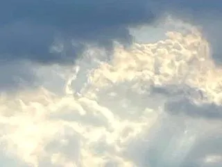 戻りましたー