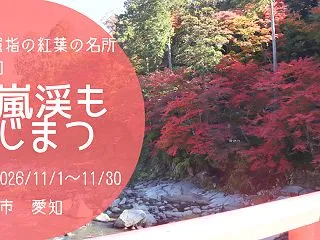 愛知屈指の紅葉の名所「香嵐渓もみじまつり…
