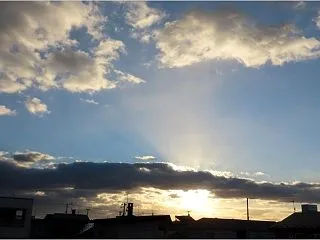今朝の光芒と小鳥