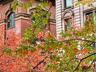 数週間、英語を教え慣れ親しんだ教室とも、…
