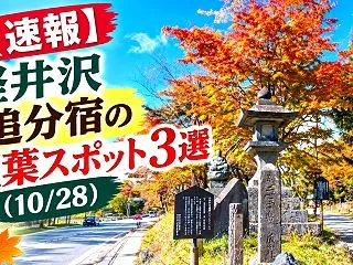 【速報】軽井沢 追分宿の紅葉スポット3選…