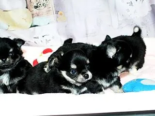 お誕生日おめでとう＆初めてのボールプール…