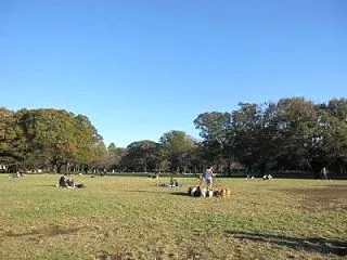 虎を信じれば
