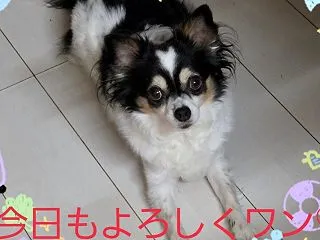 バイトの半分以上かかる…病院代(￣▽￣;
