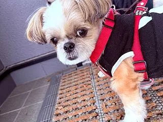 いいことあったよ。
