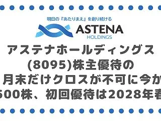 アステナホールディングス(8095)株主…