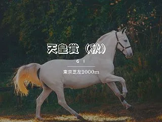 天皇賞（秋）2026予想｜東京2000m…