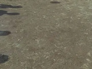 砂利を踏む音に適した運動靴
