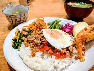 ビビン麺弁当とガパオライスの晩酌