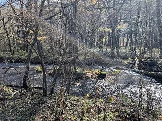 上高地を歩くと体重減になる