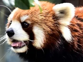 2026-10-20 のんほいパーク