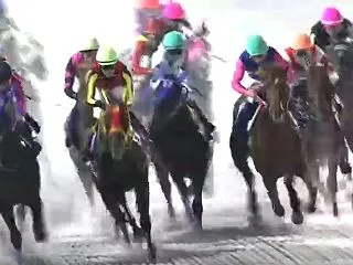 エーデルワイス賞 ◎コンテミュール