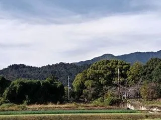 久し振りに