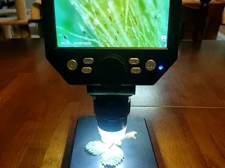 1000倍のマイクロスコープを購入