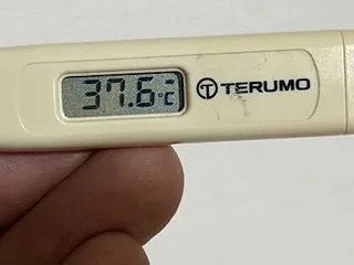 初めて３７度を超えた