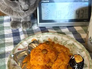 ＾＾うっちゃんとうちゃカフェ☆おうち猫カ…