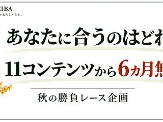 あなたに合うのはどれ？11コンテンツから…