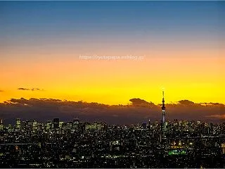 都心夕景